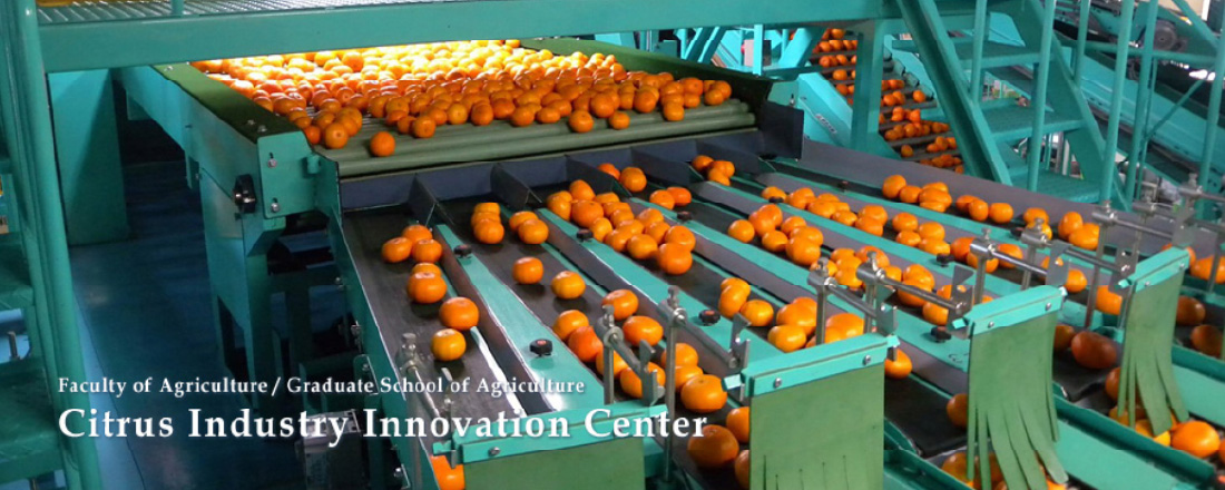 愛媛大学大学院農学研究科 柑橘産業人材育成プログラム